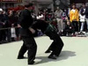 Hand To Hand Combat - Musha Dori