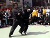 Hand To Hand Combat - Musha Dori Henka 1